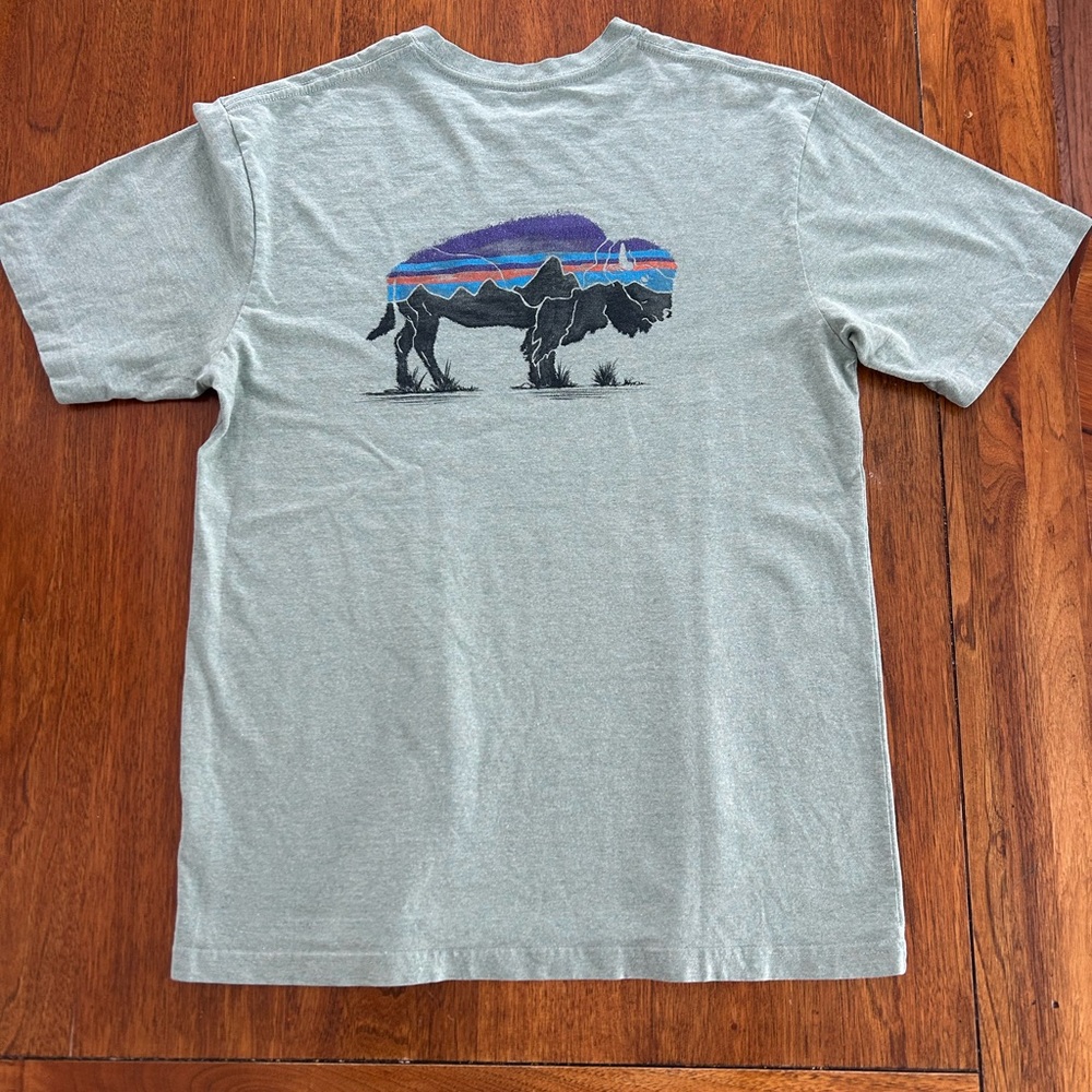 Patagonia Men's Green T-Shirt
